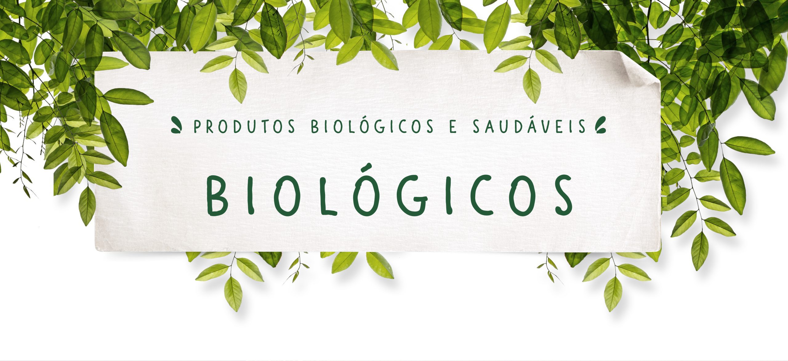 Banner “Produtos Biológicos e Saudáveis – Biológicos” com folhas verdes decorativas e tipografia orgânica em fundo claro, comunicando naturalidade e sustentabilidade.
