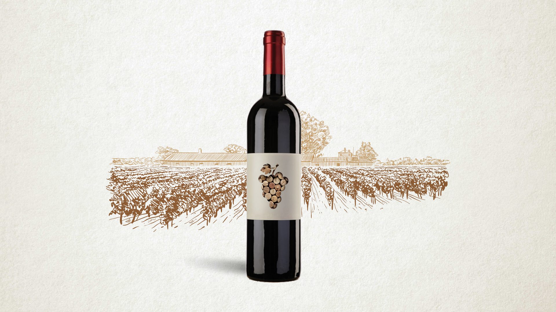 Garrafa de vinho sobre ilustração de vinha, simbolizando a ligação entre o produto e a origem.