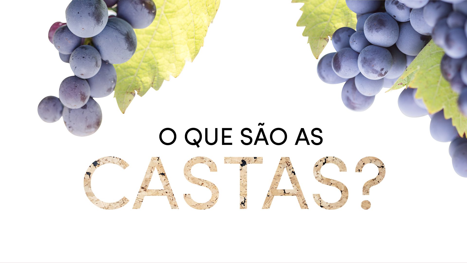 Imagem com cachos de uvas e o título “O que são as castas?”, introduzindo o tema das variedades de uva de Portugal.