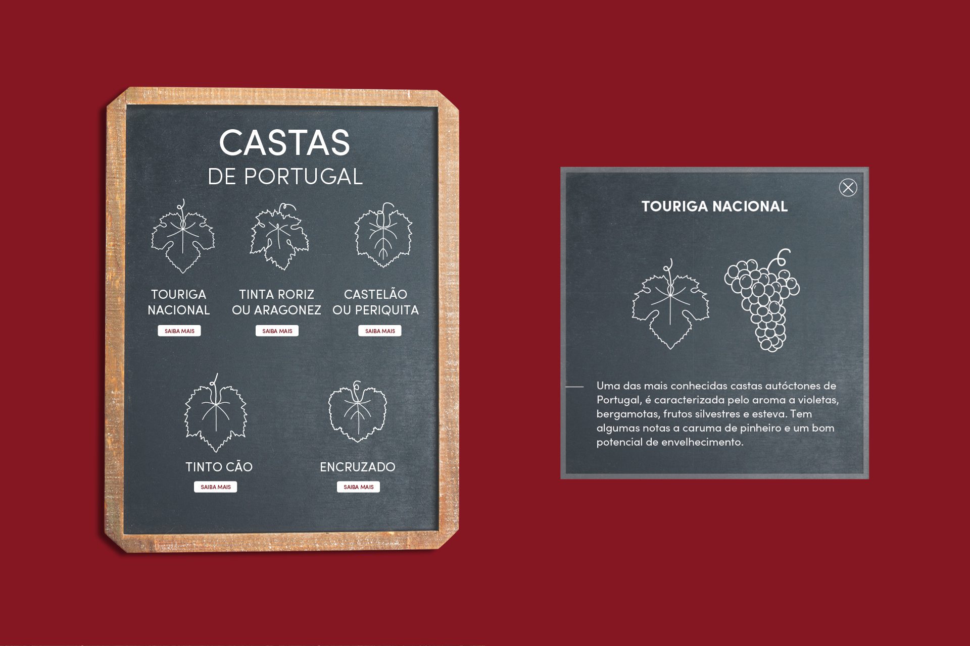 Painel informativo sobre “Castas de Portugal”, com ilustrações de folhas e uvas em fundo vermelho, acompanhado de popup sobre “Touriga Nacional”.